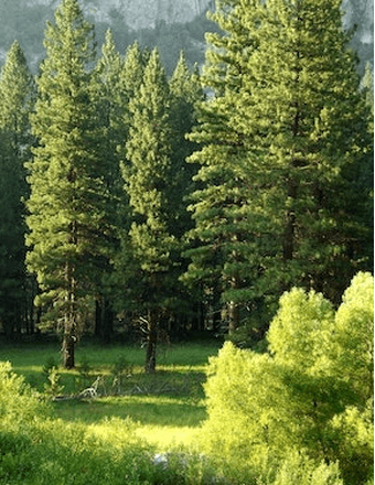 Robert E. Monson Obituary